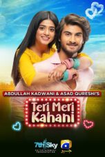 Nonton film Streaming Teri Meri Kahani (2021) subtitle Bahasa Indonesia