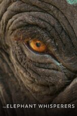 Nonton film Streaming The Elephant Whisperers (2022) subtitle Bahasa Indonesia