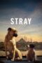 Nonton film Streaming Stray (2021) subtitle Bahasa Indonesia Nonton film Streaming Stray (2021) subtitle Bahasa Indonesia