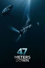 Nonton film Streaming 47 Meters Down (2017) subtitle Bahasa Indonesia