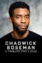 Nonton film Streaming Chadwick Boseman: A Tribute for a King (2020) subtitle Bahasa Indonesia