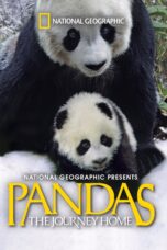 Nonton film Streaming Pandas: The Journey Home (2014) subtitle Bahasa Indonesia