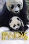 Nonton film Streaming Pandas: The Journey Home (2014) subtitle Bahasa Indonesia