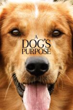 Nonton film Streaming A Dog’s Purpose (2017) subtitle Bahasa Indonesia