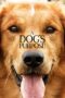 Nonton film Streaming A Dog’s Purpose (2017) subtitle Bahasa Indonesia