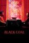 Nonton film Streaming Black Coal, Thin Ice (2014) subtitle Bahasa Indonesia