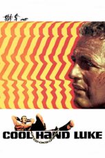 Nonton film Streaming Cool Hand Luke (1967) subtitle Bahasa Indonesia