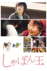 Nonton film Streaming Where I Belong (2017) subtitle Bahasa Indonesia
