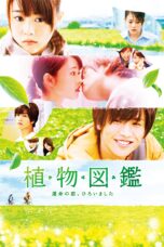 Nonton film Streaming Evergreen Love (2016) subtitle Bahasa Indonesia