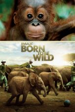 Nonton film Streaming Born to Be Wild (2011) subtitle Bahasa Indonesia