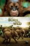 Nonton film Streaming Born to Be Wild (2011) subtitle Bahasa Indonesia