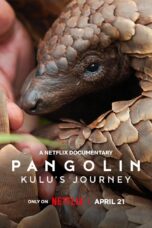 Nonton film Streaming Pangolin: Kulu’s Journey (2025) subtitle Bahasa Indonesia