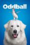 Nonton film Streaming Oddball (2015) subtitle Bahasa Indonesia