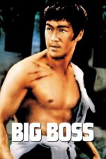Nonton film Streaming The Big Boss (1971) subtitle Bahasa Indonesia