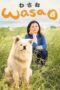 Nonton film Streaming Wasao (2011) subtitle Bahasa Indonesia