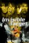 Nonton film Streaming Invisible Target (2007) subtitle Bahasa Indonesia