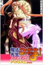 Nonton film Streaming Magister Negi Magi: Anime Final (2011) subtitle Bahasa Indonesia