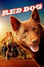 Nonton film Streaming Red Dog (2011) subtitle Bahasa Indonesia