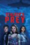 Nonton film Streaming Stalker’s Prey (2017) subtitle Bahasa Indonesia Nonton film Streaming Stalker’s Prey (2017) subtitle Bahasa Indonesia