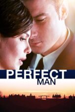 Nonton film Streaming A Perfect Man (2013) subtitle Bahasa Indonesia