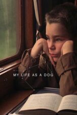Nonton film Streaming My Life as a Dog (1985) subtitle Bahasa Indonesia