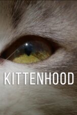 Nonton film Streaming Kittenhood (2015) subtitle Bahasa Indonesia