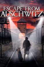 Nonton film Streaming The Escape from Auschwitz (2020) subtitle Bahasa Indonesia