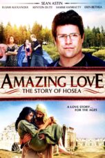 Nonton film Streaming Amazing Love (2012) subtitle Bahasa Indonesia