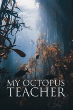 Nonton film Streaming My Octopus Teacher (2020) subtitle Bahasa Indonesia