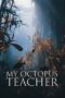 Nonton film Streaming My Octopus Teacher (2020) subtitle Bahasa Indonesia