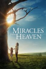 Nonton film Streaming Miracles from Heaven (2016) subtitle Bahasa Indonesia