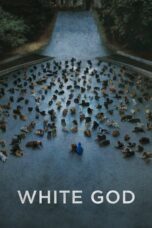 Nonton film Streaming White God (2014) subtitle Bahasa Indonesia