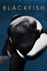 Nonton film Streaming Blackfish (2013) subtitle Bahasa Indonesia