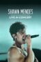 Nonton film Streaming Shawn Mendes: Live in Concert (2020) subtitle Bahasa Indonesia