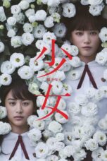 Nonton film Streaming Night’s Tightrope (2016) subtitle Bahasa Indonesia