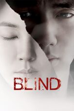 Nonton film Streaming Blind (2011) subtitle Bahasa Indonesia