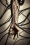 Nonton film Streaming Pandorum (2009) subtitle Bahasa Indonesia Nonton film Streaming Pandorum (2009) subtitle Bahasa Indonesia