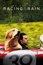 Nonton film Streaming The Art of Racing in the Rain (2019) subtitle Bahasa Indonesia