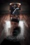 Nonton film Streaming Forgotten (2017) subtitle Bahasa Indonesia