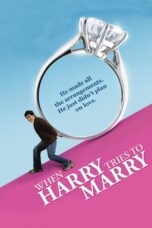 Nonton film Streaming When Harry Tries to Marry (2011) subtitle Bahasa Indonesia