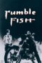 Nonton film Streaming Rumble Fish (1983) subtitle Bahasa Indonesia Nonton film Streaming Rumble Fish (1983) subtitle Bahasa Indonesia