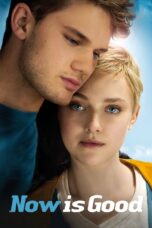 Nonton film Streaming Now Is Good (2012) subtitle Bahasa Indonesia