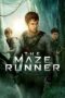 Nonton film Streaming The Maze Runner (2014) subtitle Bahasa Indonesia Nonton film Streaming The Maze Runner (2014) subtitle Bahasa Indonesia