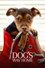Nonton film Streaming A Dog’s Way Home (2019) subtitle Bahasa Indonesia