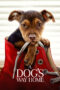 Nonton film Streaming A Dog’s Way Home (2019) subtitle Bahasa Indonesia