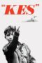 Nonton film Streaming Kes (1970) subtitle Bahasa Indonesia Nonton film Streaming Kes (1970) subtitle Bahasa Indonesia