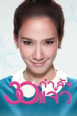 Nonton film Streaming Fabulous 30 (2011) subtitle Bahasa Indonesia