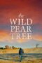 Nonton film Streaming The Wild Pear Tree (2018) subtitle Bahasa Indonesia