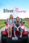 Nonton film Streaming Different Flowers (2017) subtitle Bahasa Indonesia