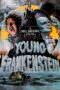 Nonton film Streaming Young Frankenstein (1974) subtitle Bahasa Indonesia Nonton film Streaming Young Frankenstein (1974) subtitle Bahasa Indonesia
